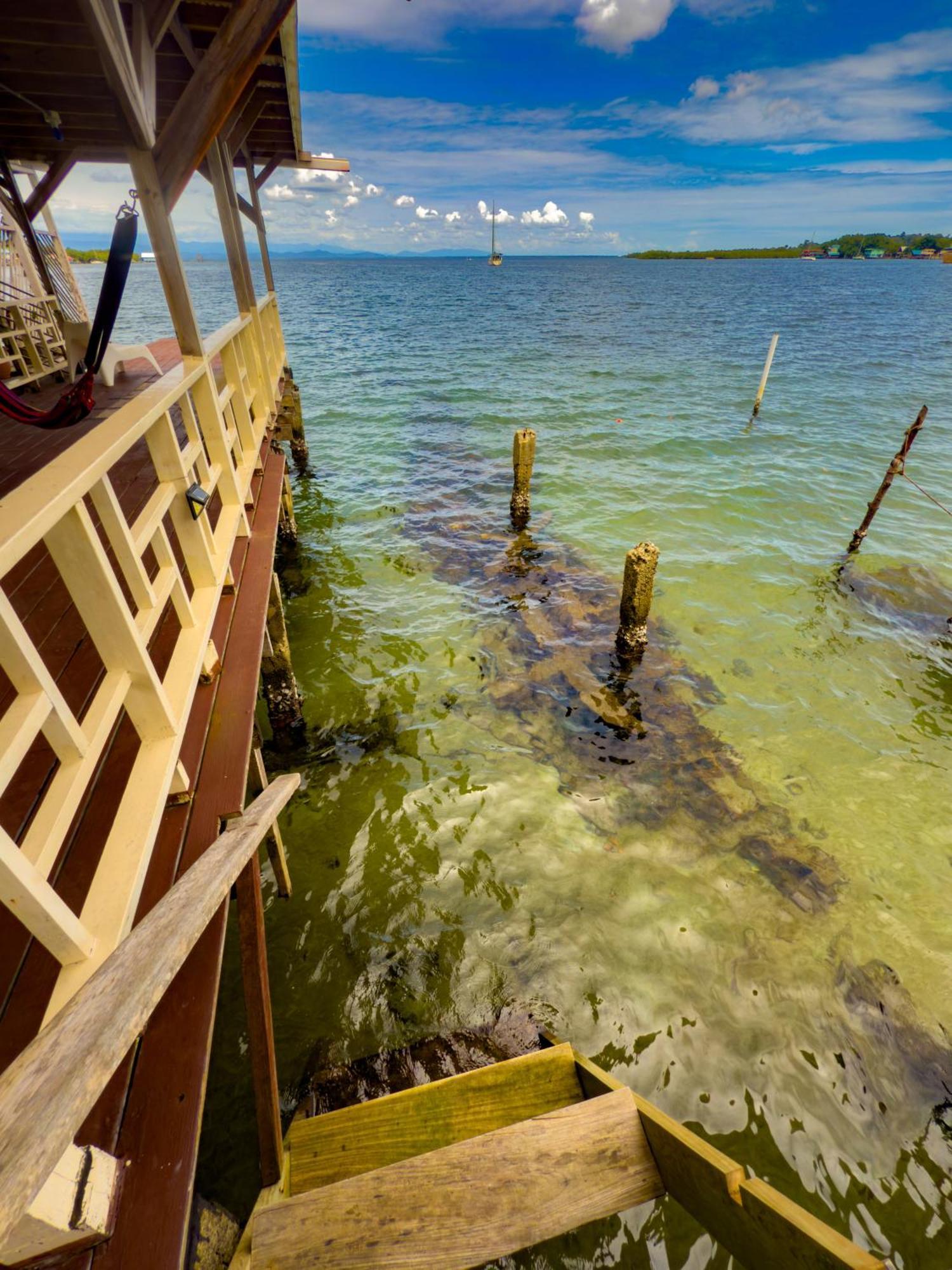 Saigon Bay Bed & Breakfast Bocas del Toro Room photo